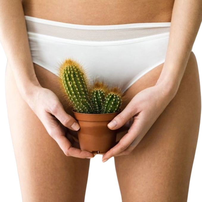 Clitoral + G-Spot
