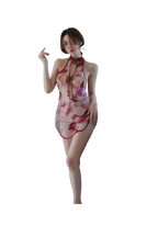 Sexy Sheer Embroidered Butterfly Cheongsam Lingerie Set