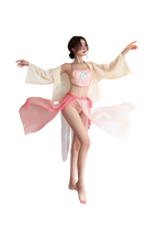 Chinese Embroidered Hanfu Lingerie Roleplay Set
