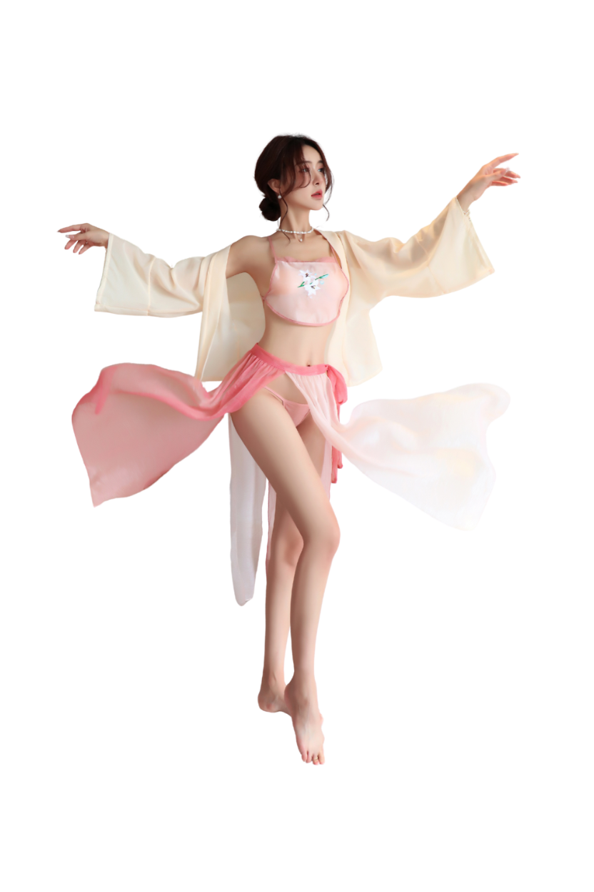Chinese Embroidered Hanfu Lingerie Roleplay Set