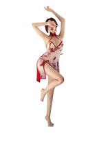 Butterfly Embroidery Sheer Cheongsam Lingerie Set