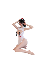 Sheer Sexy Nurse Lingerie Costume Set – Roleplay Cosplay Outfit