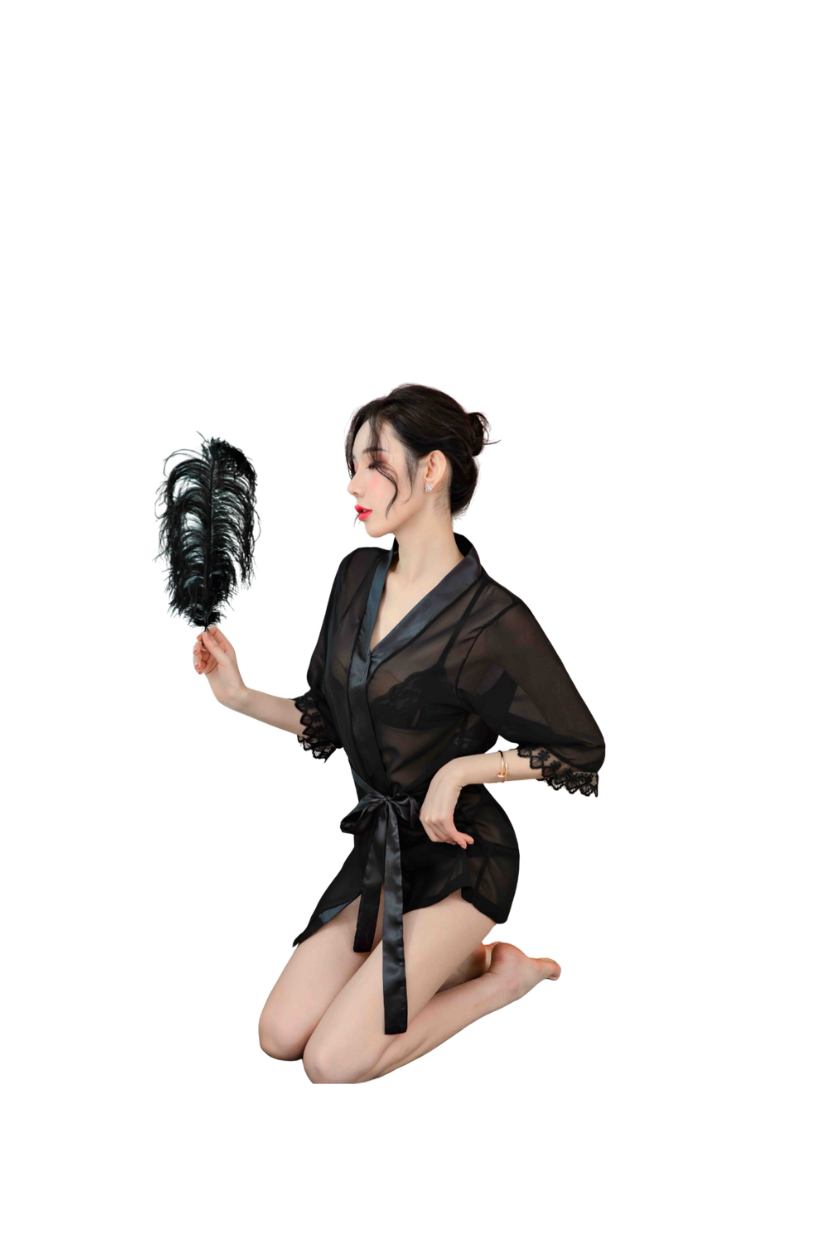 Lace Trim Lingerie Robe Set